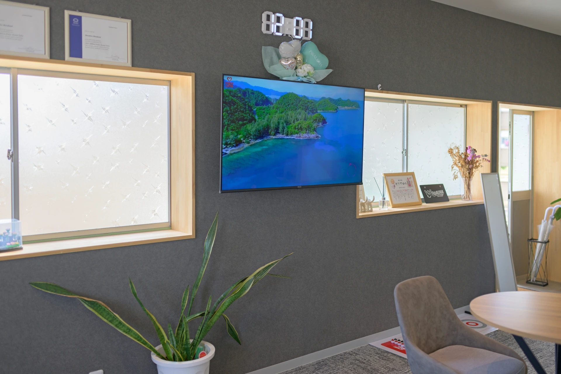 テレビや観葉植物を備えたPiliALOHAの店内